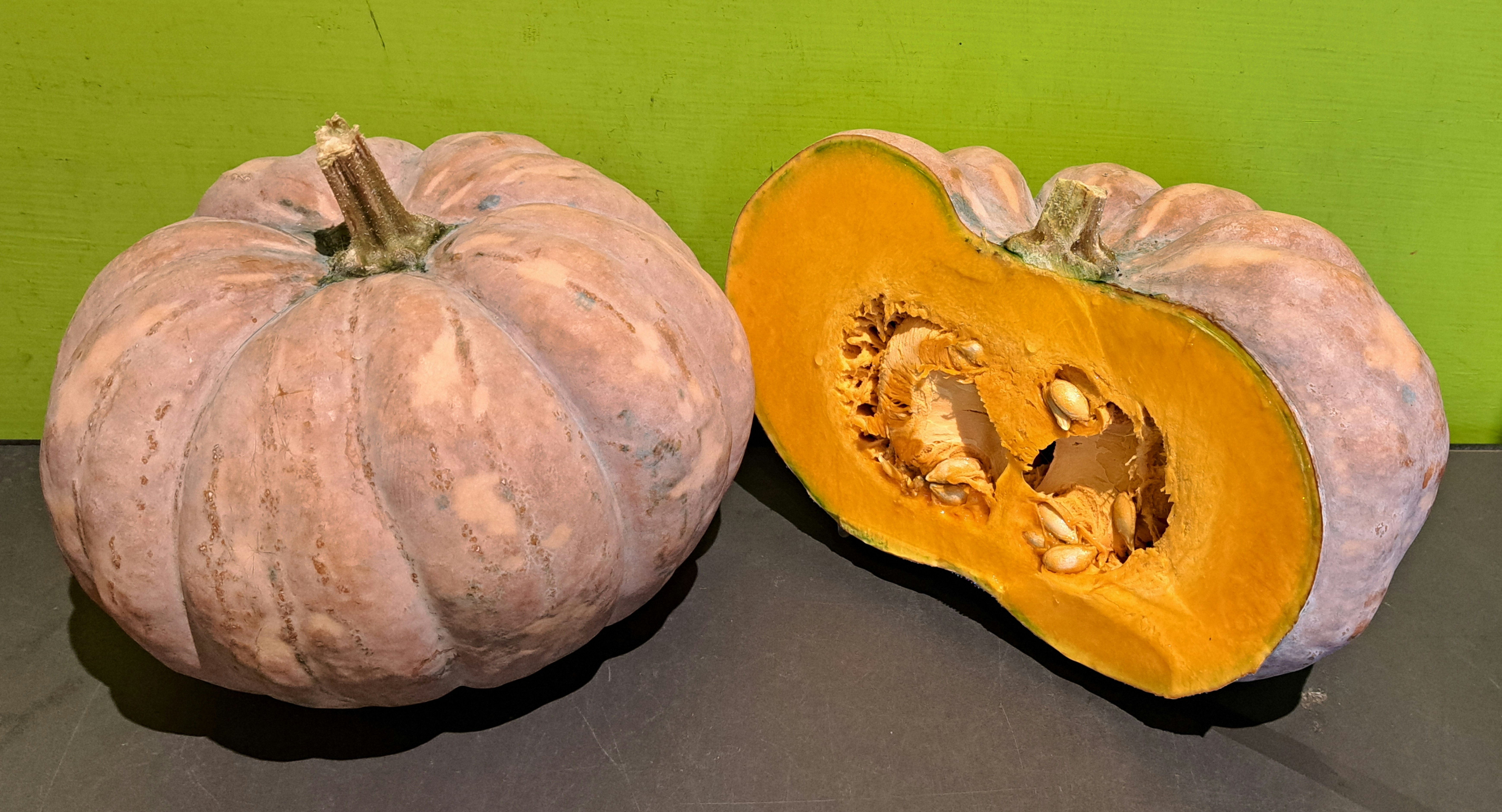 二姑車輪南瓜 (1/2邊)