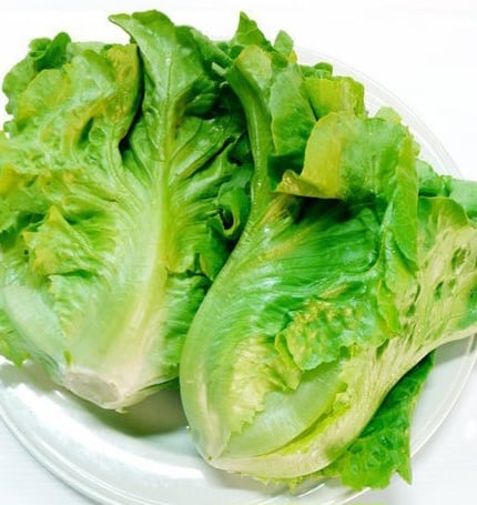 福山萵苣(大陸妹)(份)