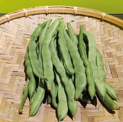 醜豆 (份)(可搭配3份100元品項活動)