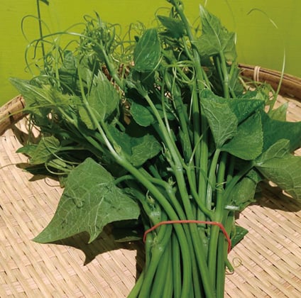 龍鬚菜 (份)(可搭配3份100元品項活動）)