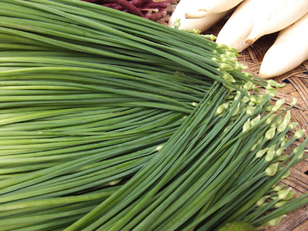 韭菜花 (蒼蠅頭) (可搭配3份100元活動)