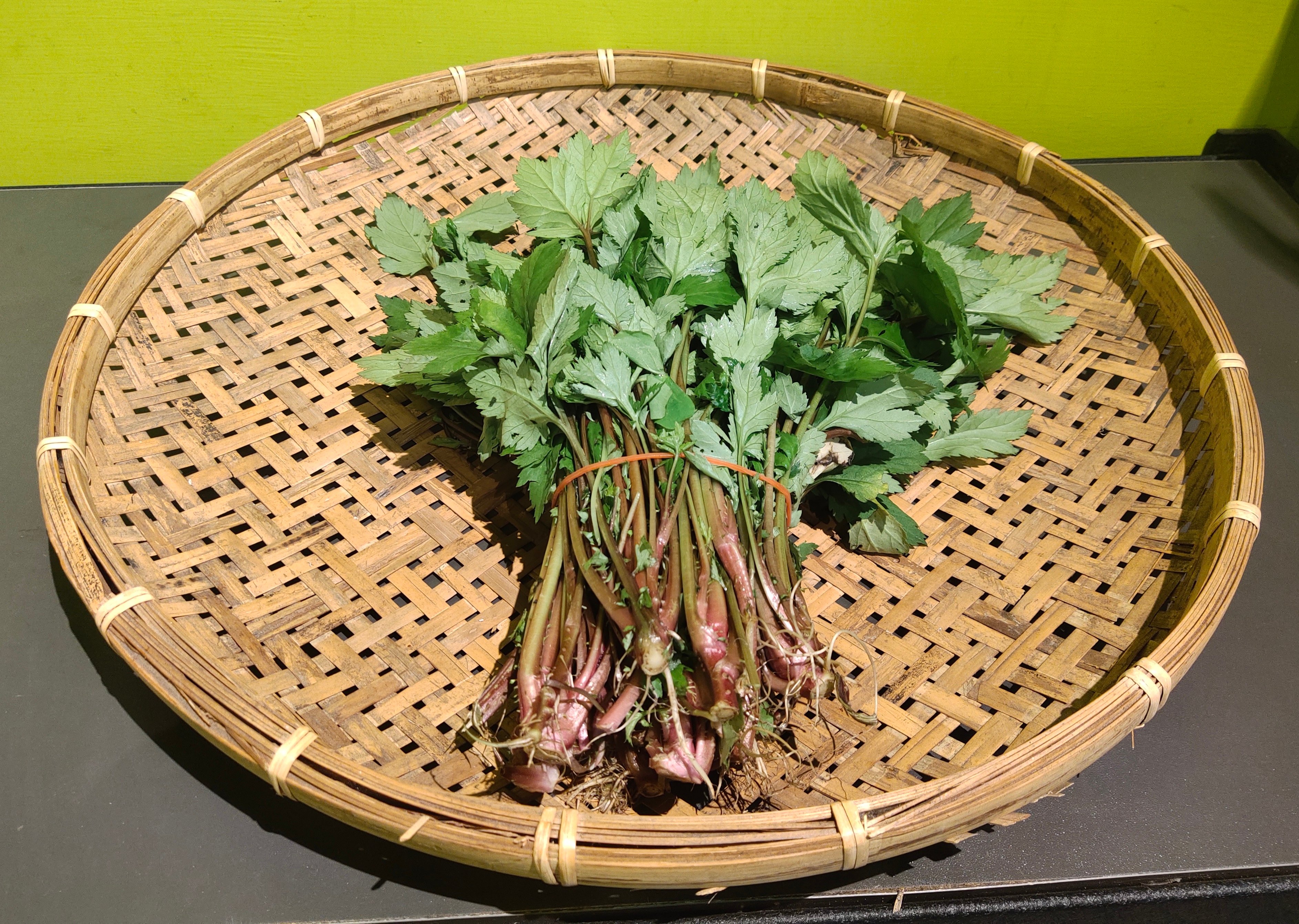 珍珠菜 (甜菜；角菜) (採預約)