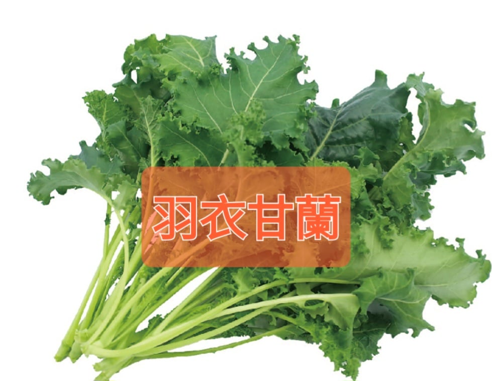 羽衣甘藍(份)(可搭配3份100元品項活動)
