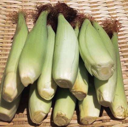 玉米筍 (份)(可搭配3份100元品項)