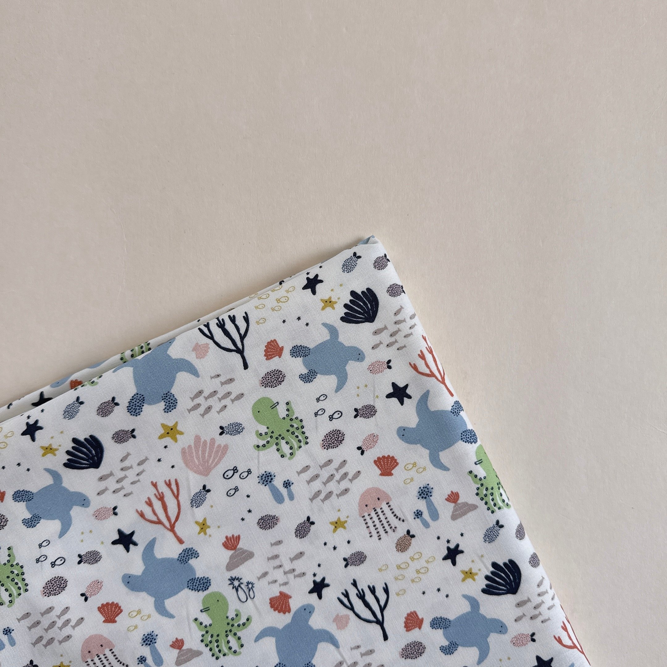 【 選布 】海龜