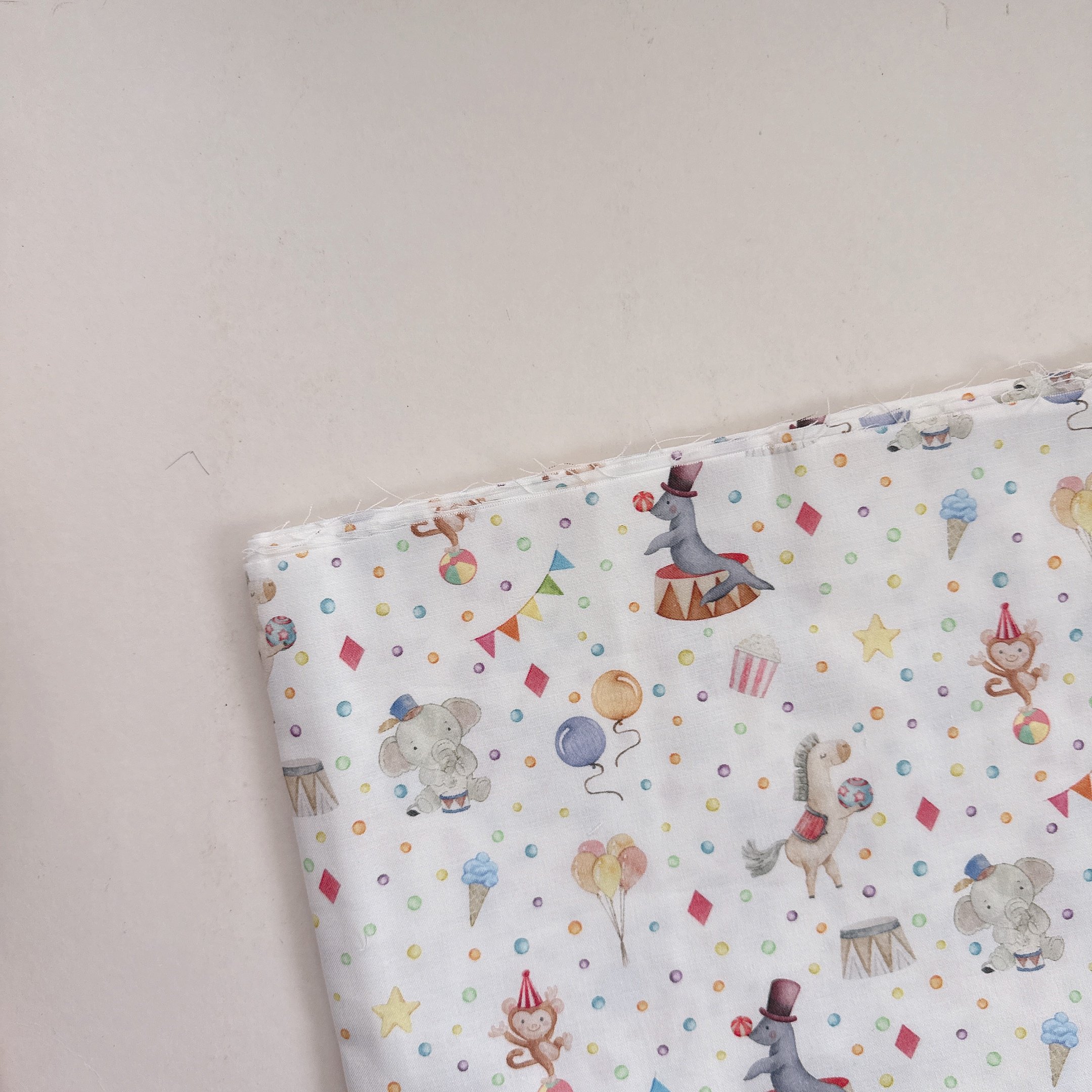 【 選布 】馬戲團 55