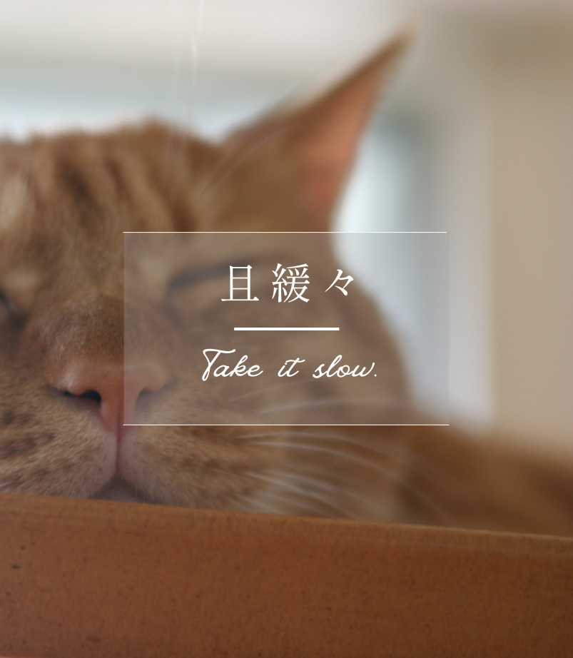 《且緩緩》察覺自己的冰山，暫時允許對方的情緒