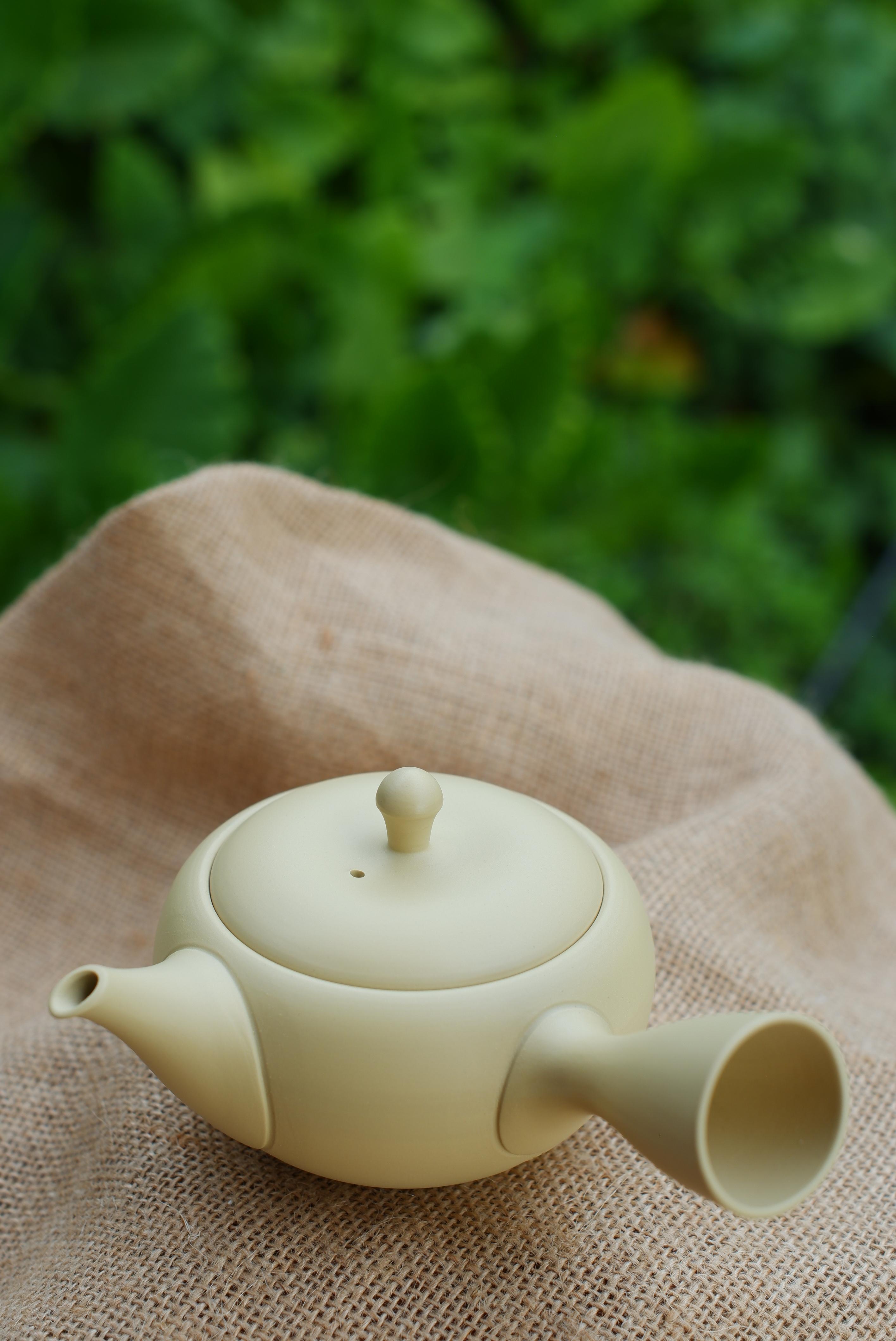 象牙黃淺丸【高資陶苑】