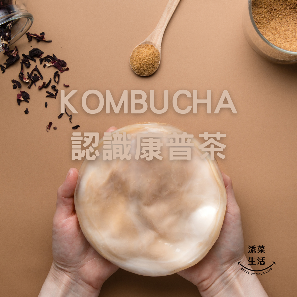 你認識康普茶了嗎?