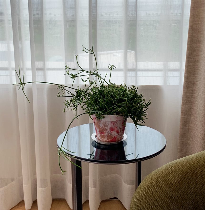 vuvu品牌色彩繽紛花盆