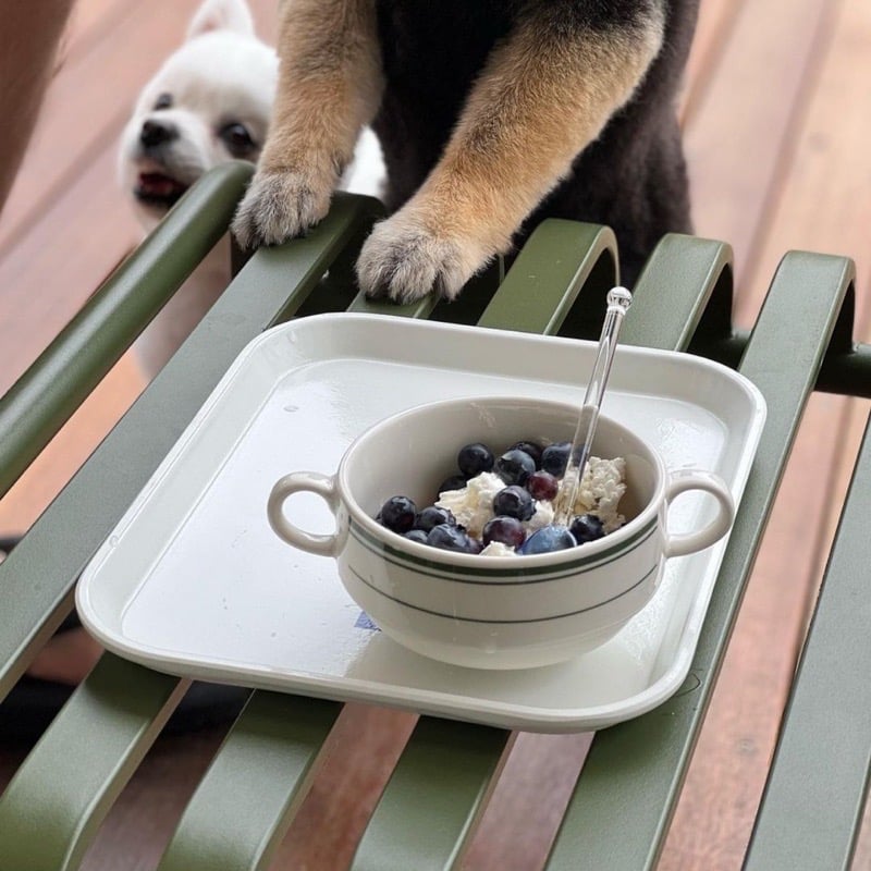 Tuxton Green Bay 雙耳碗