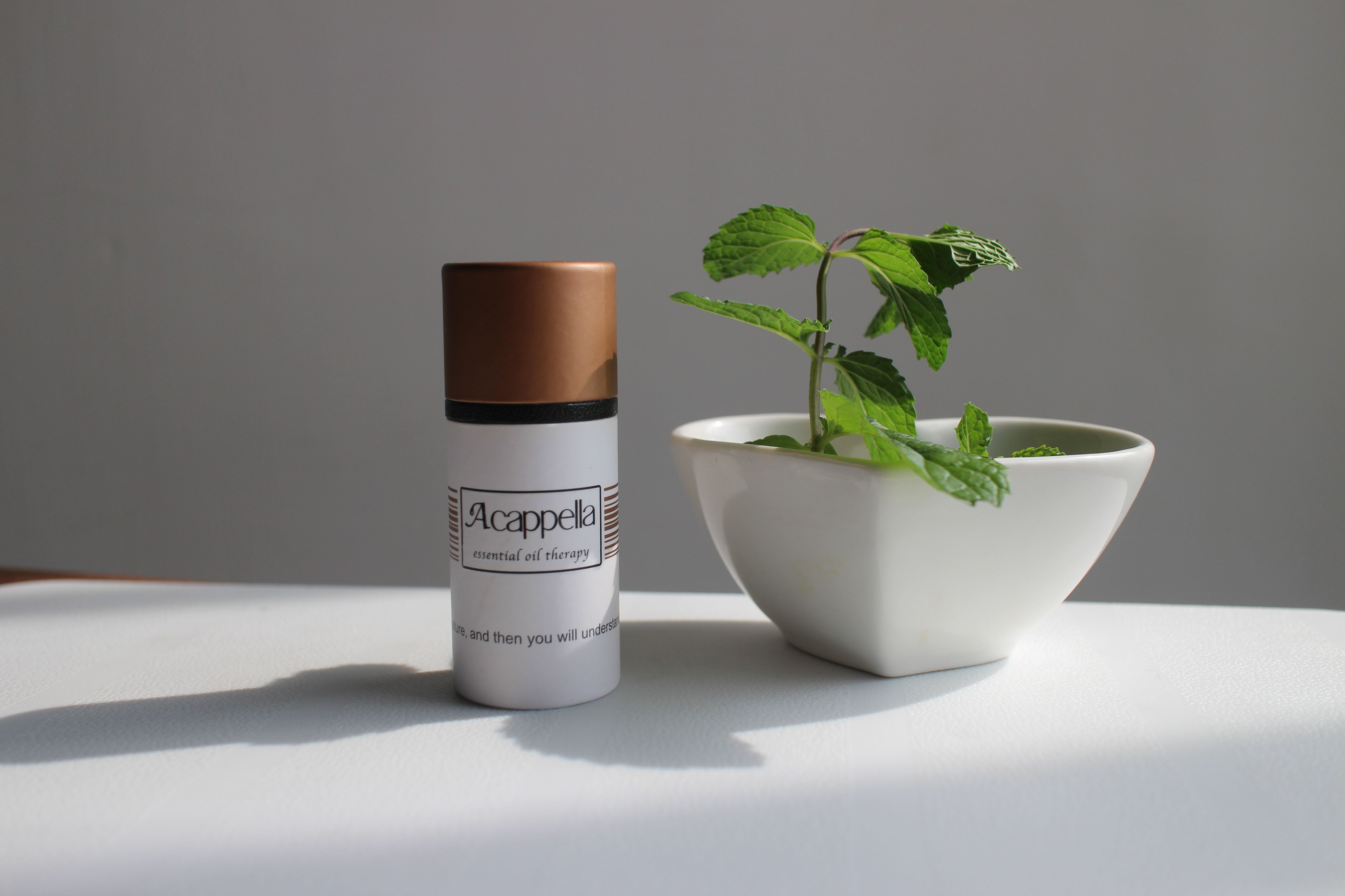 【熱門商品】塞維亞薰衣草精油 Lavender, Seville 