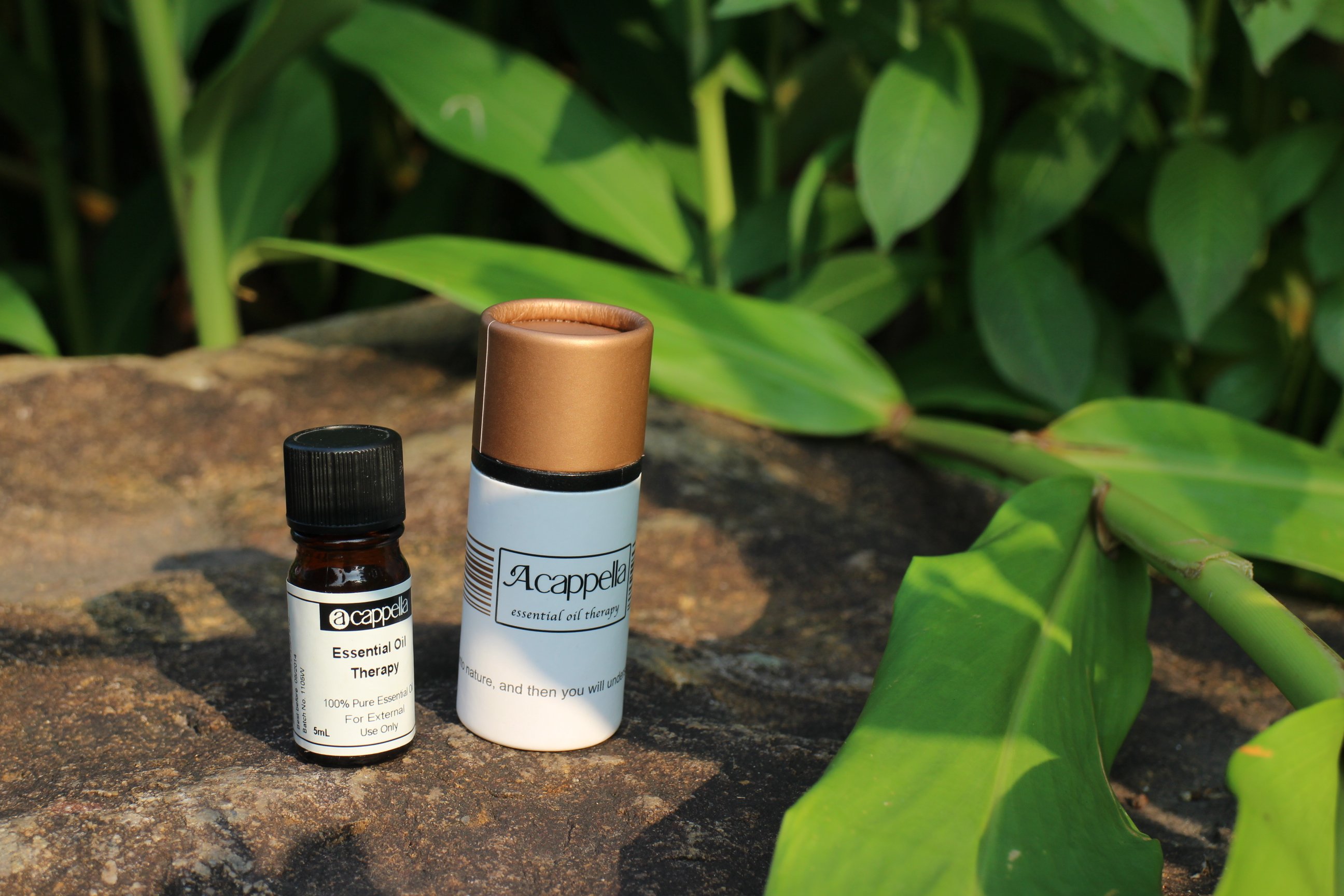 錫蘭肉桂皮 (有機）Cinnamon Bark