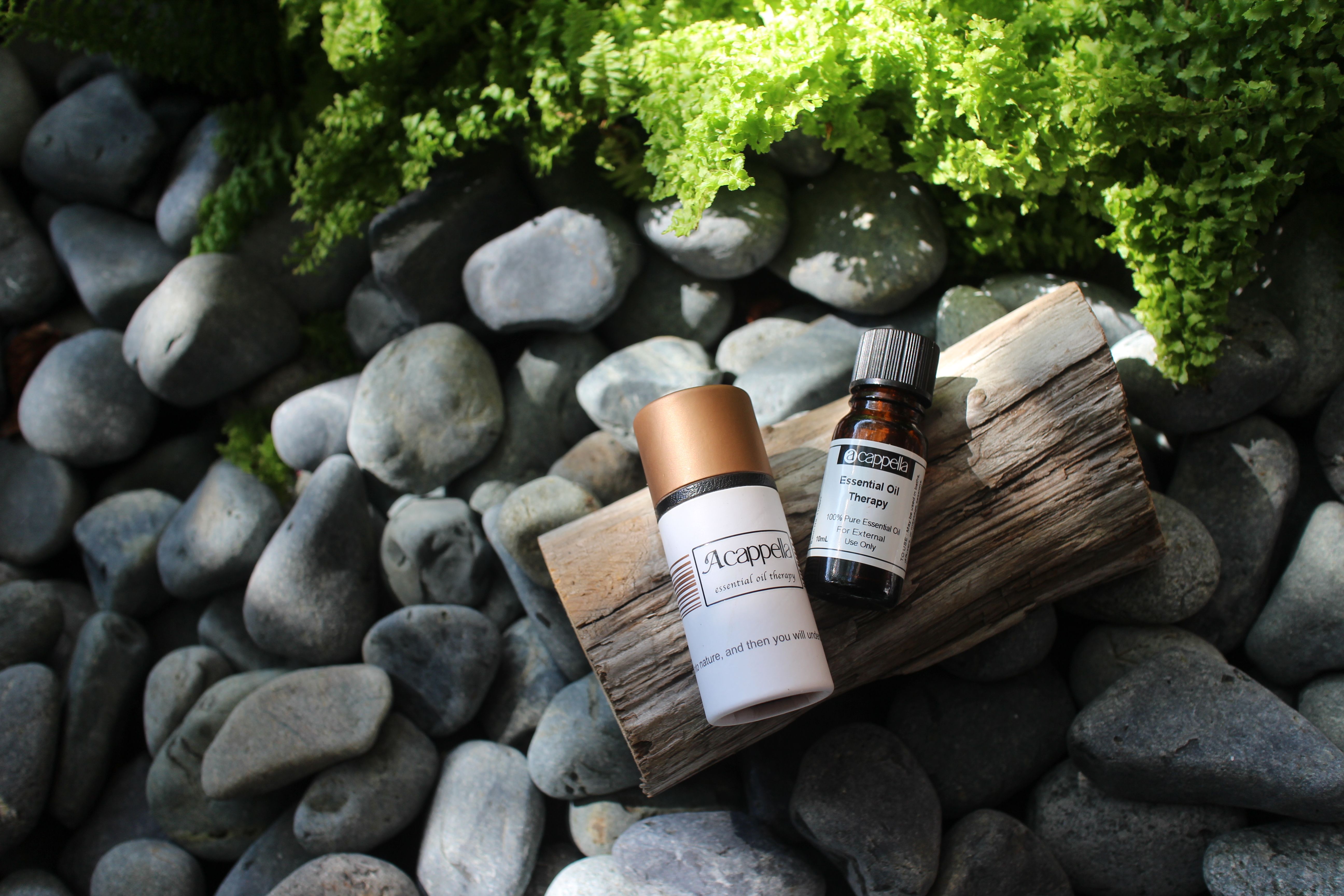 竹葉花椒精油Prickly Ash