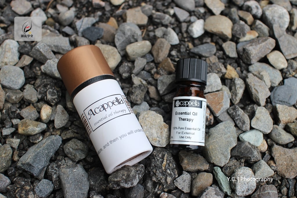 綠薄荷精油  Spearmint