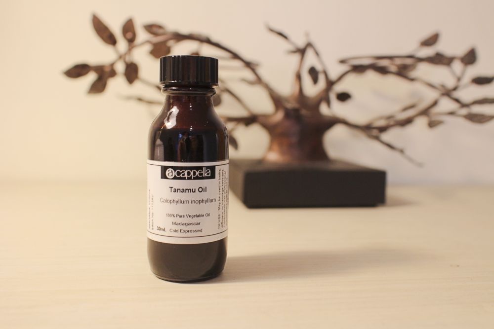 【植物油】瓊崖海棠油（有機） Tamanu Oil