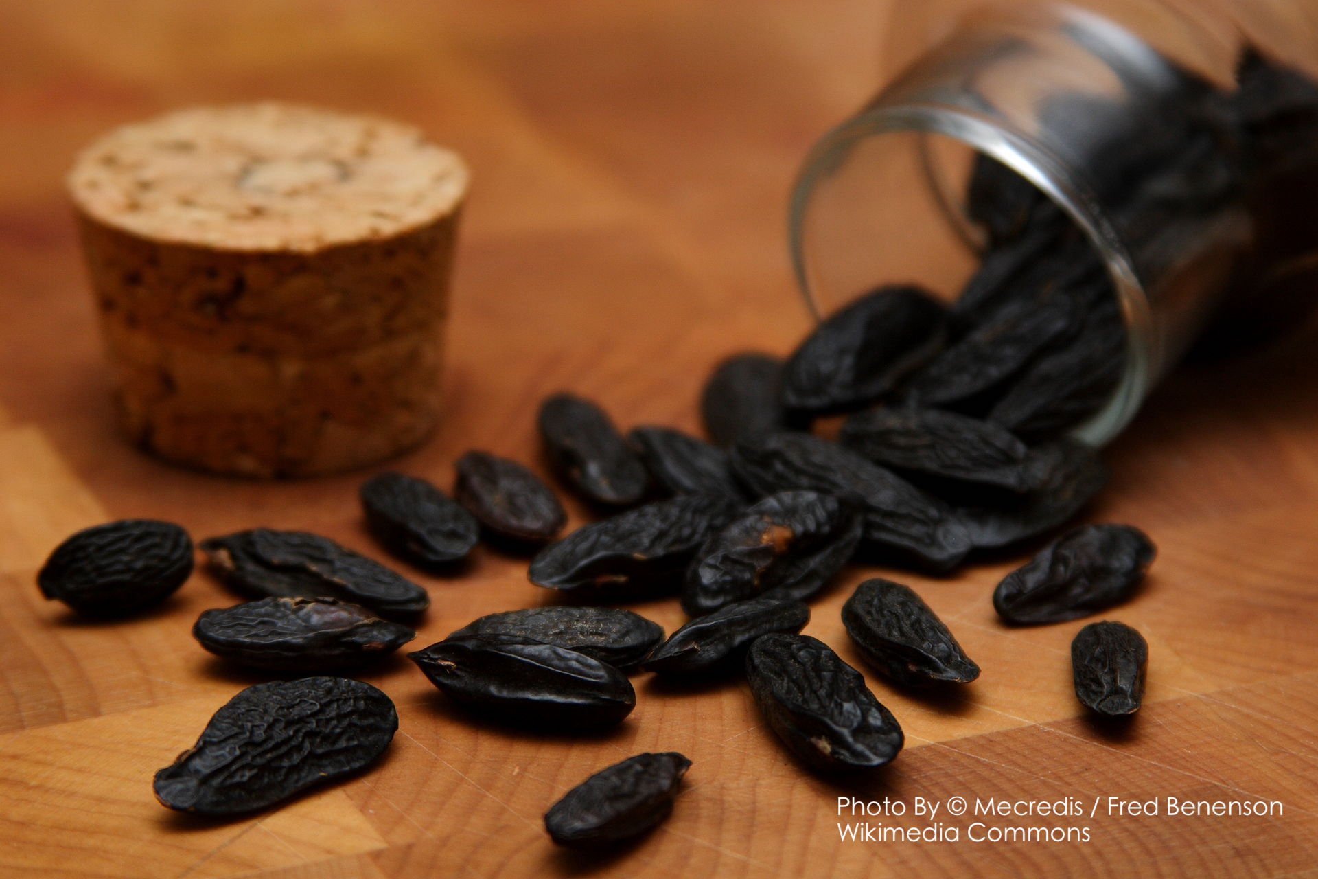 零陵香豆原精（特級）Tonka Bean Abs.