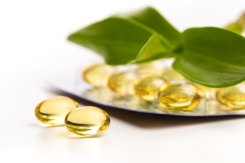 前兔光明 萬「視」如意迎新年