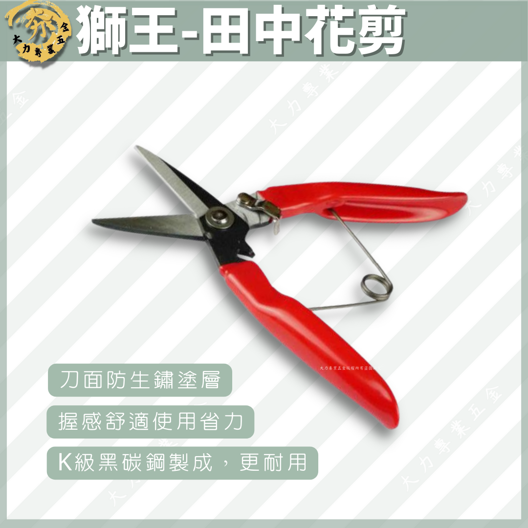 獅王-田中花剪