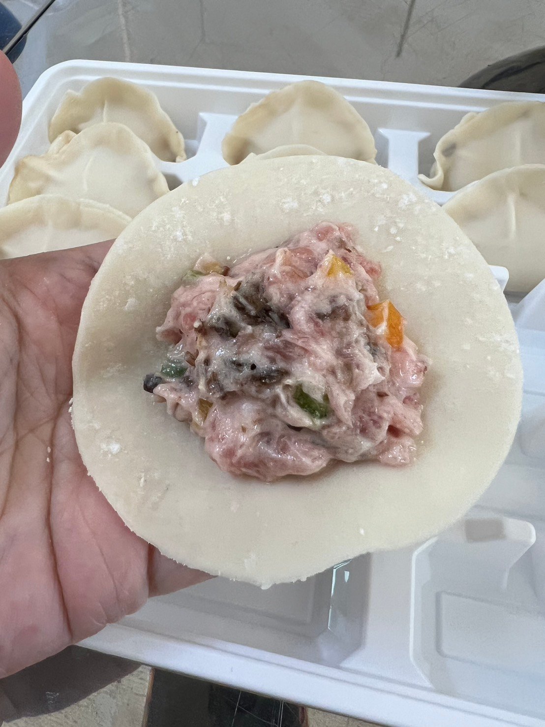 【精品水饺】云南油鸡枞菌猪肉水饺（400g/15入）