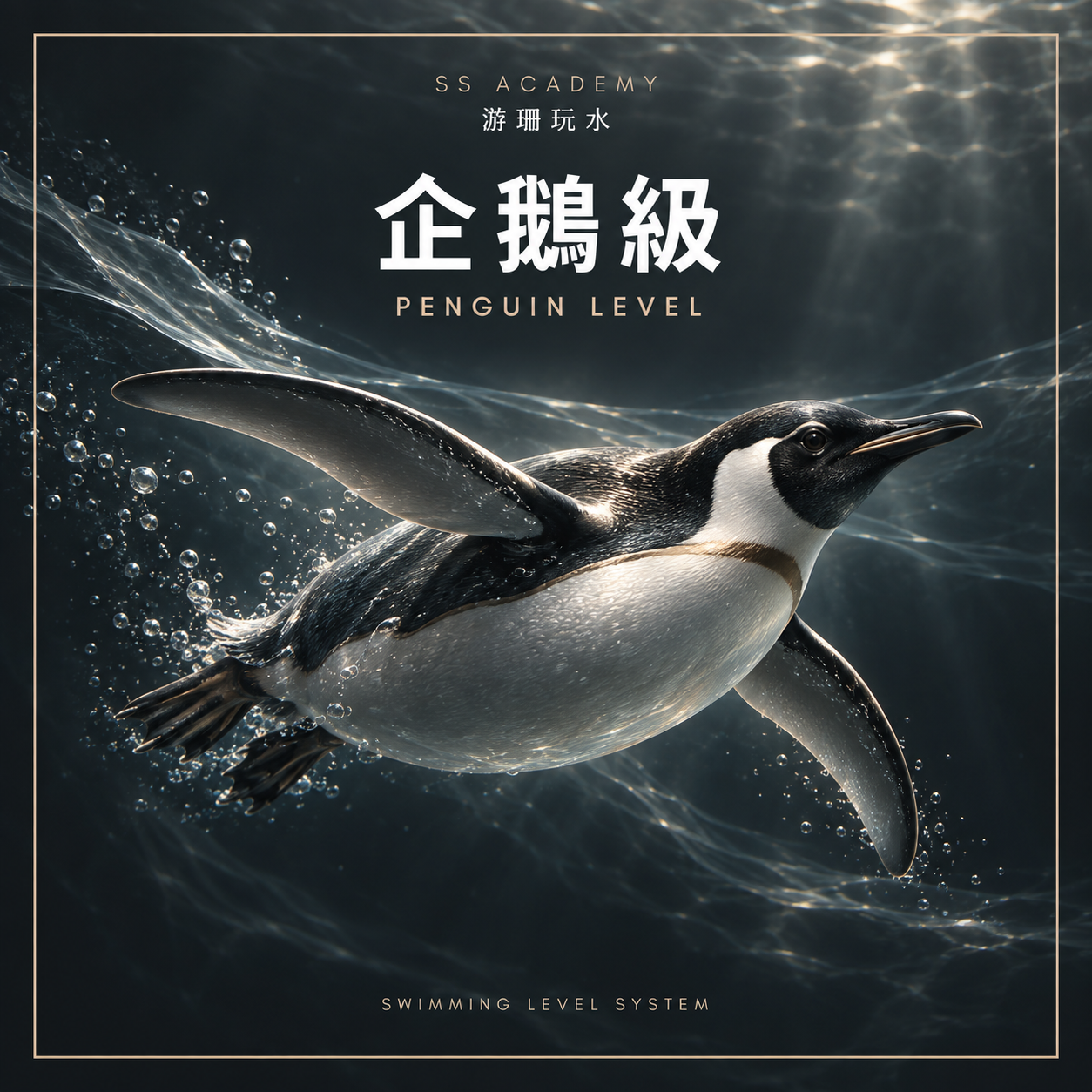 企鵝級 Penguin｜自由式、仰式、耐力與基礎自救｜SS Academy 游珊玩水