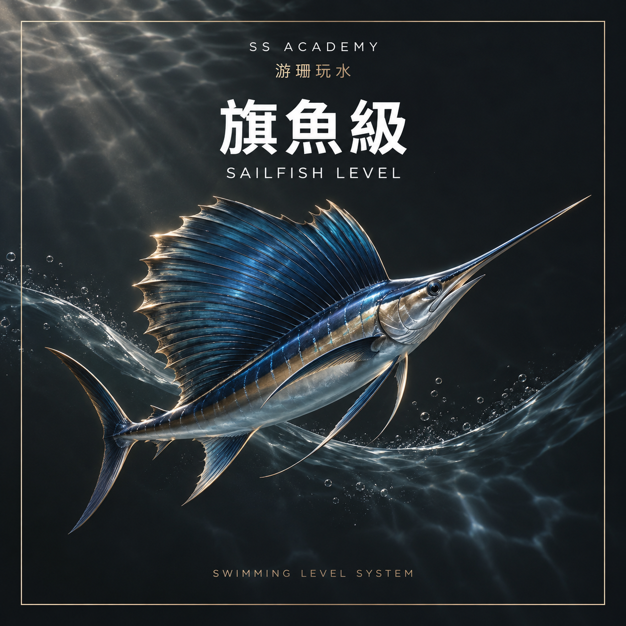 旗魚級 Sailfish｜自由式、連續換氣與協調訓練｜SS Academy 游珊玩水