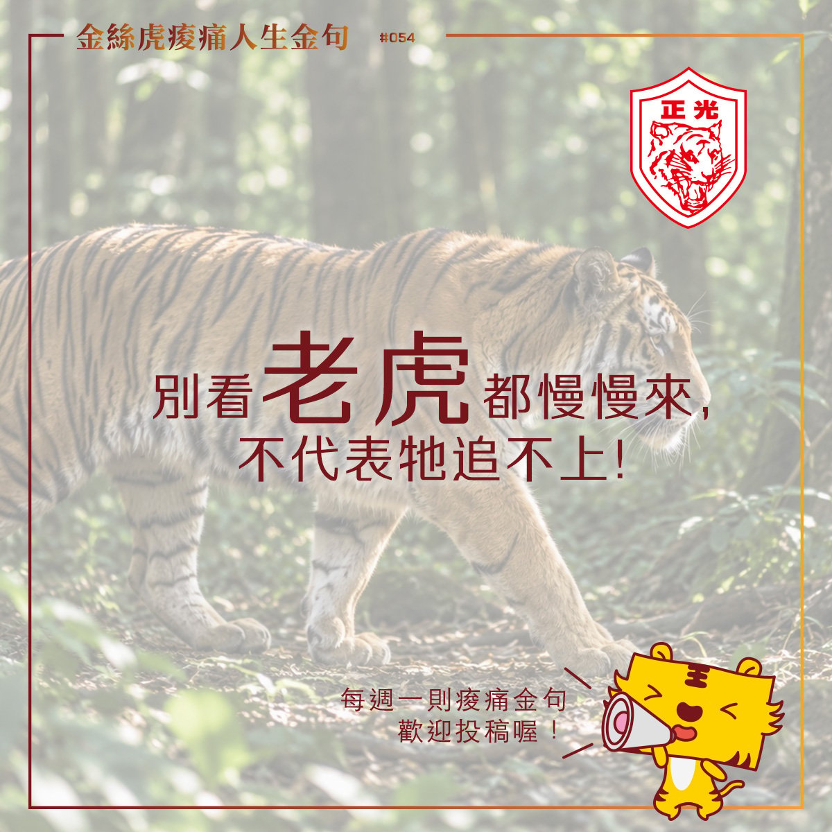 金絲虎痠痛人生金句 054｜不用一直衝！