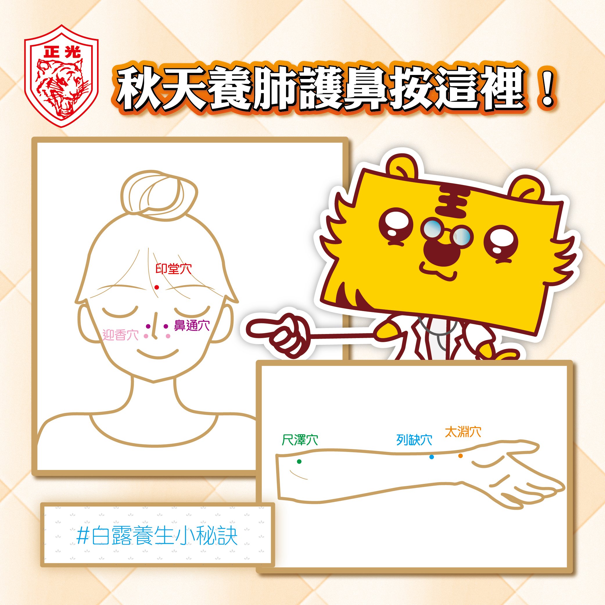 白露養生小秘訣