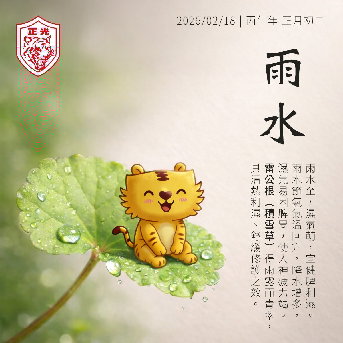 雨水：在初春陽光下，許身體一場溫柔滋潤