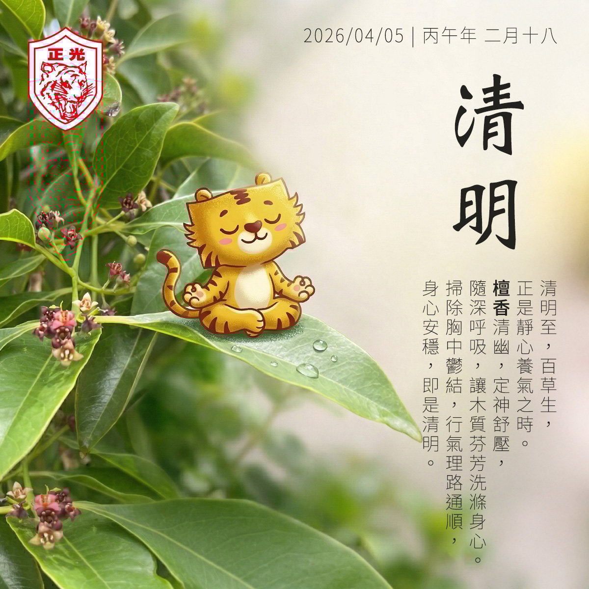 清明：當雨紛紛濕潤大地，許身心一場靜謐的洗滌