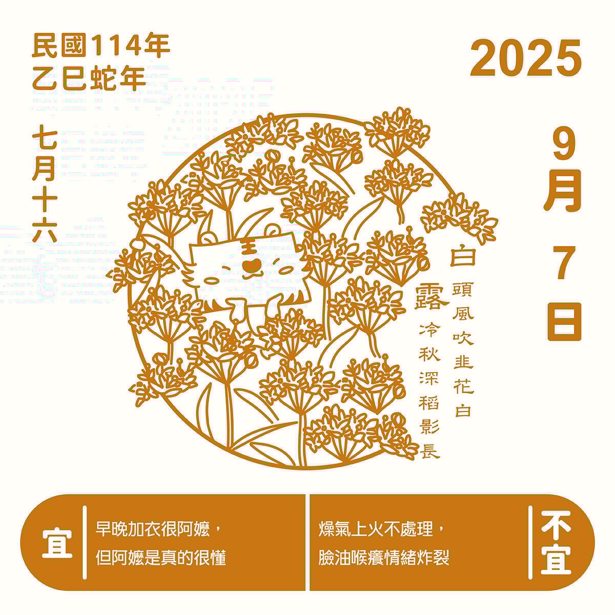 白露：從一場涼意開始，讓身心慢慢收斂下來