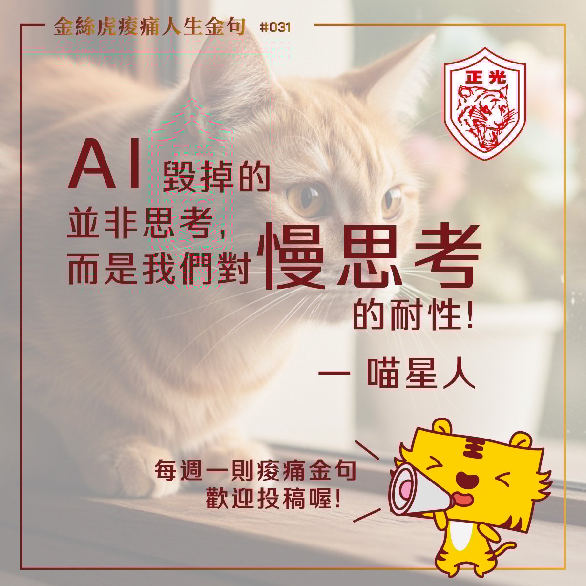 金絲虎痠痛人生金句 031｜當世界在加速，貓教我慢下來