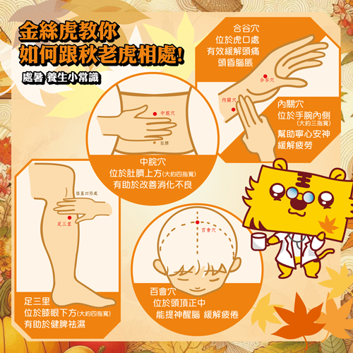 金絲虎教你如何與秋老虎相處！處暑養生小秘訣