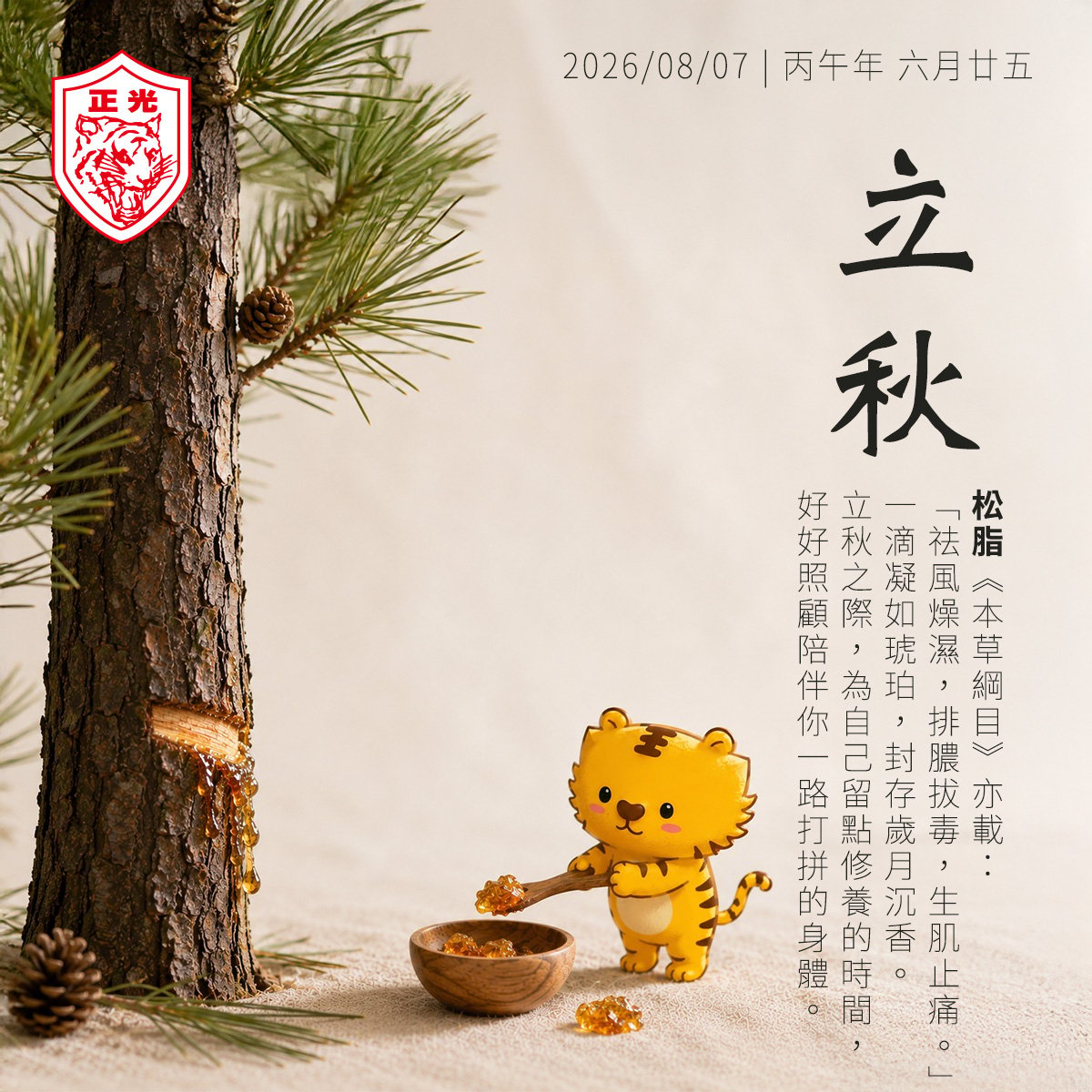 立秋：以一滴松脂的凝練，化作陪伴身體的秋日沉香