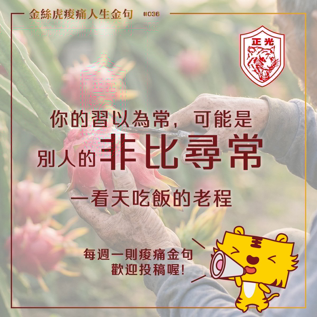 金絲虎痠痛人生金句 036｜別看輕自己