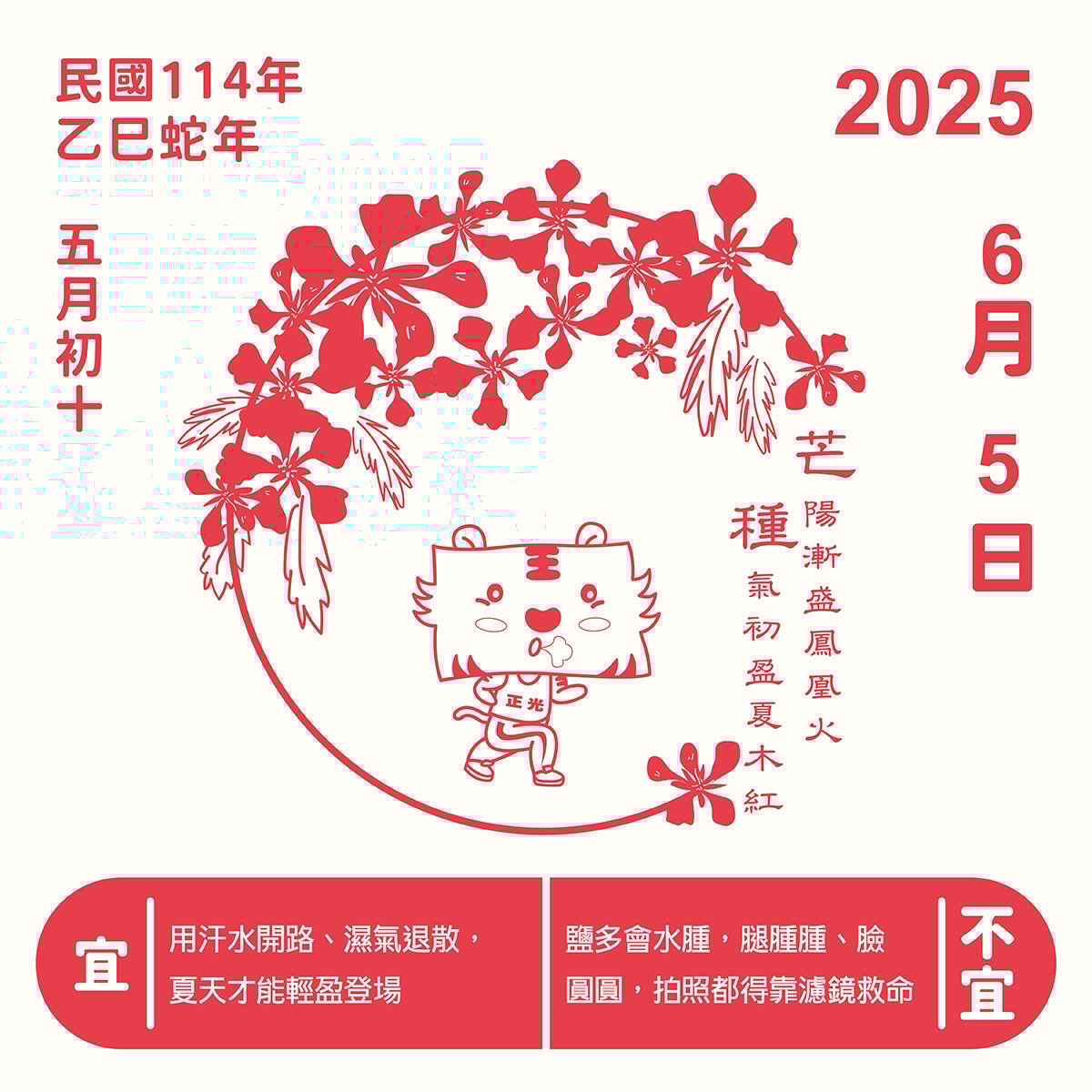 芒種：灼灼鳳花燃夏意，身心節能為地球降溫