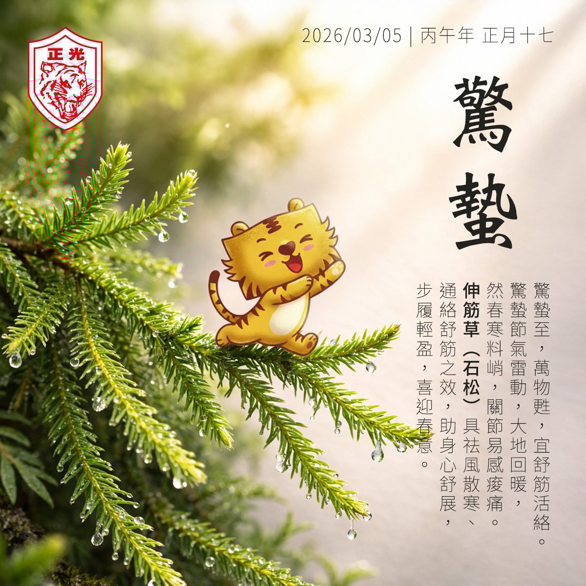 驚蟄：當春雷喚醒萬物，許身體一場灑脫的伸展