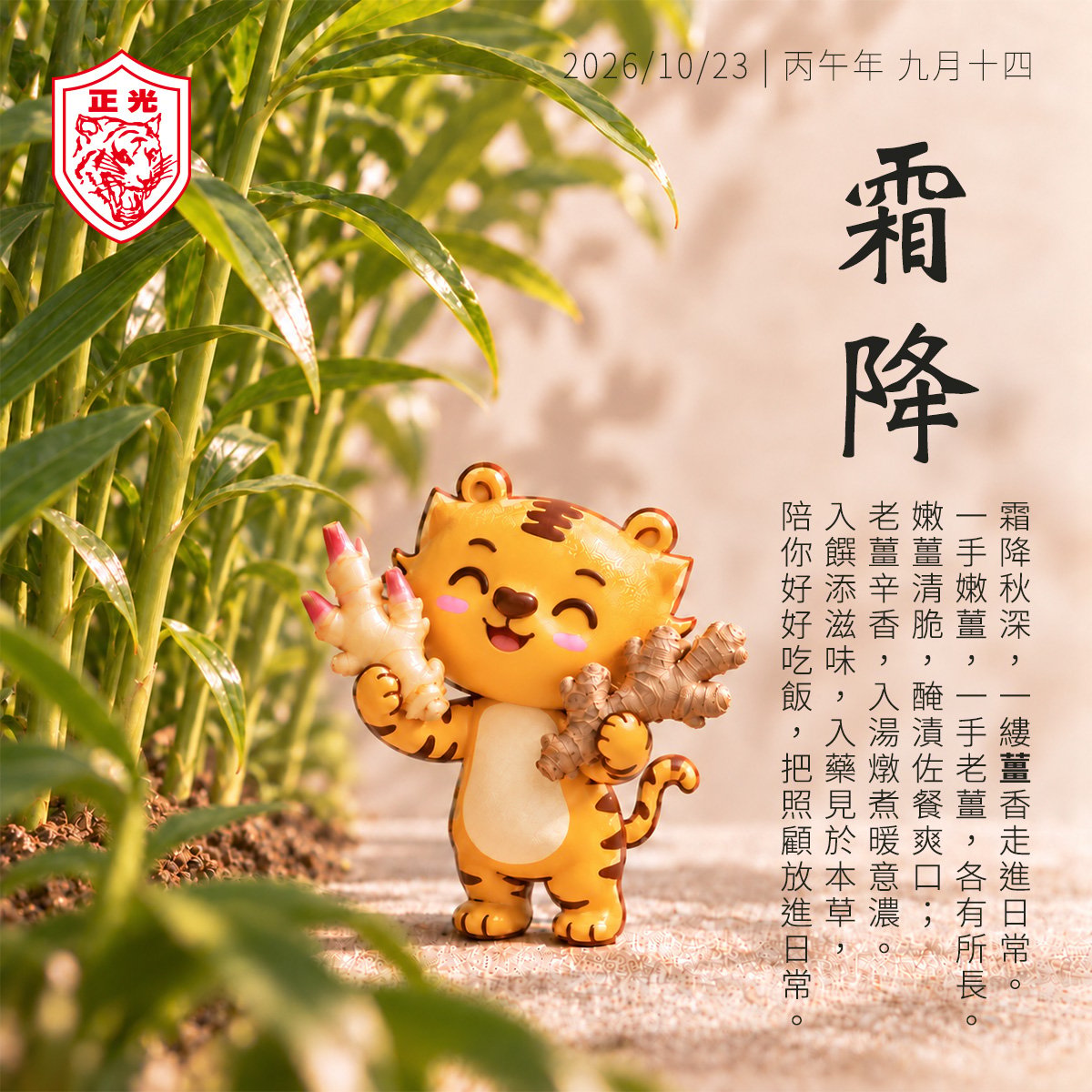 霜降：以一塊老薑的踏實辛溫，陪身體做好入冬的準備