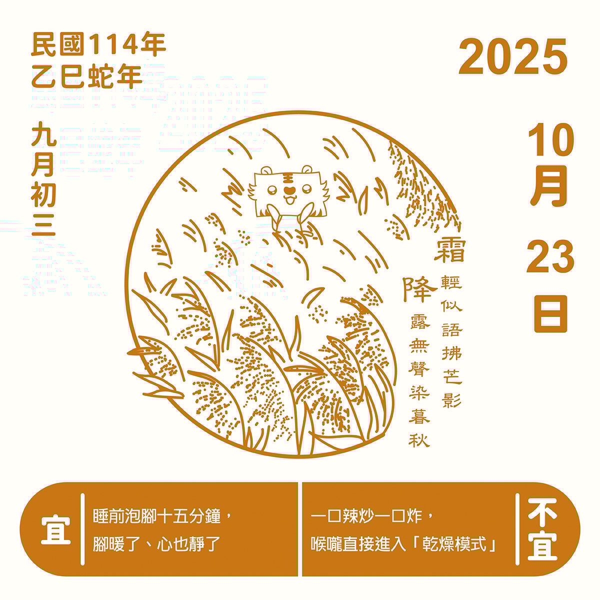 霜降：風起芒白，秋天的最後一個轉身