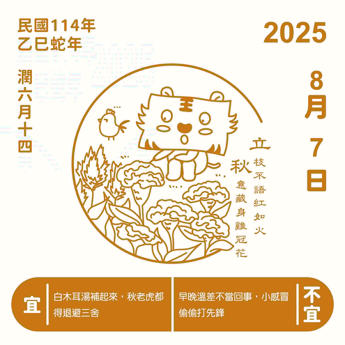 立秋：暑火未熄，雞冠花為熱情緩緩收邊