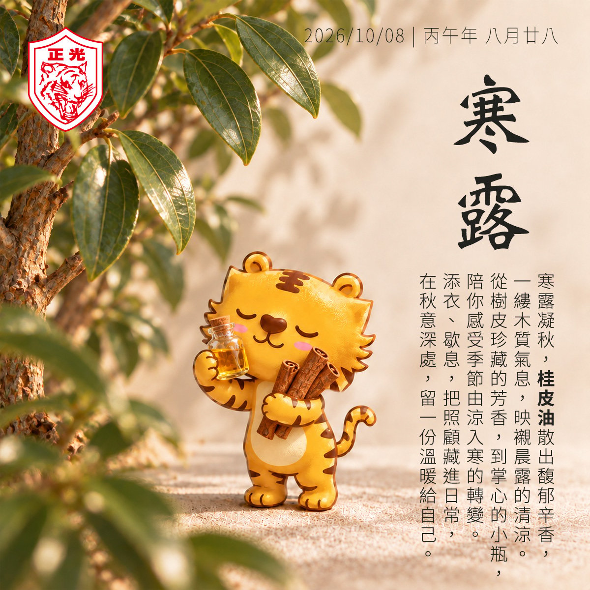 寒露：讓桂皮油的一縷辛香，陪你照顧漸涼的日常