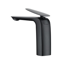 DE系列 - 弧身曲度設計面盆龍頭 - BW-100733