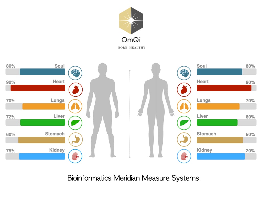 OmQi 量子生物能經絡量測服務乙次