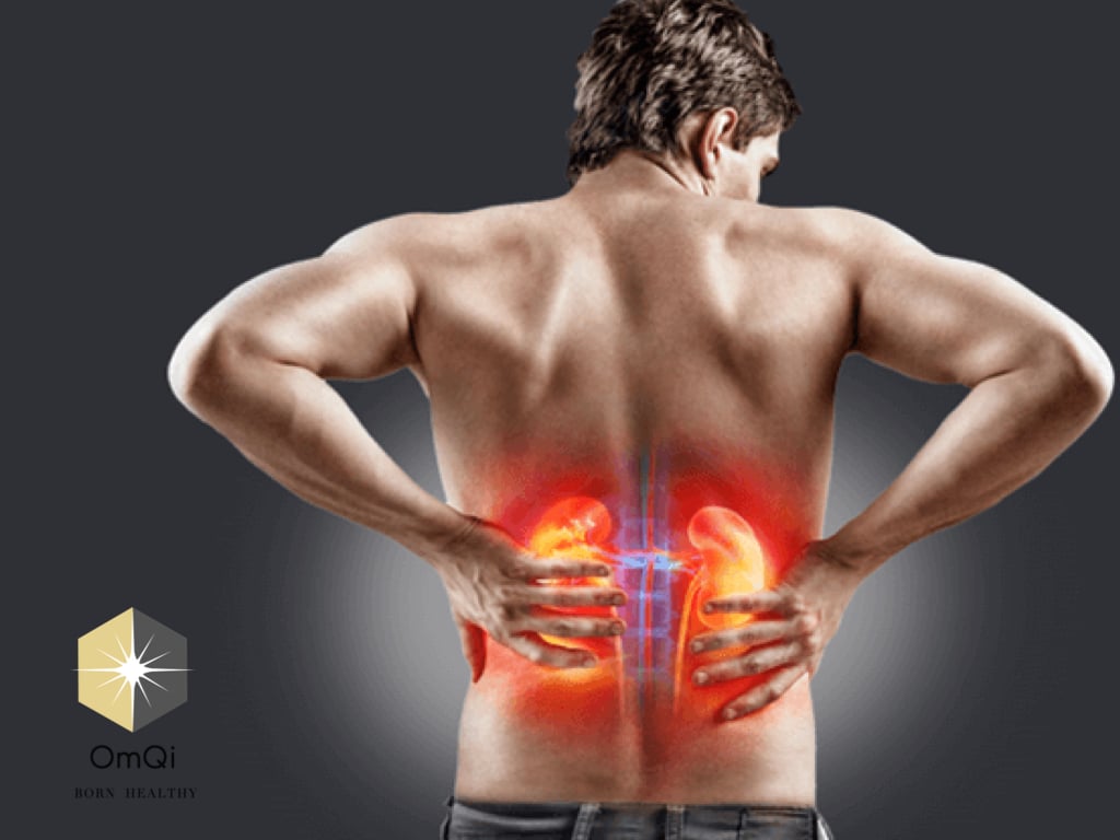 23 OmQi 人生勝利組EX