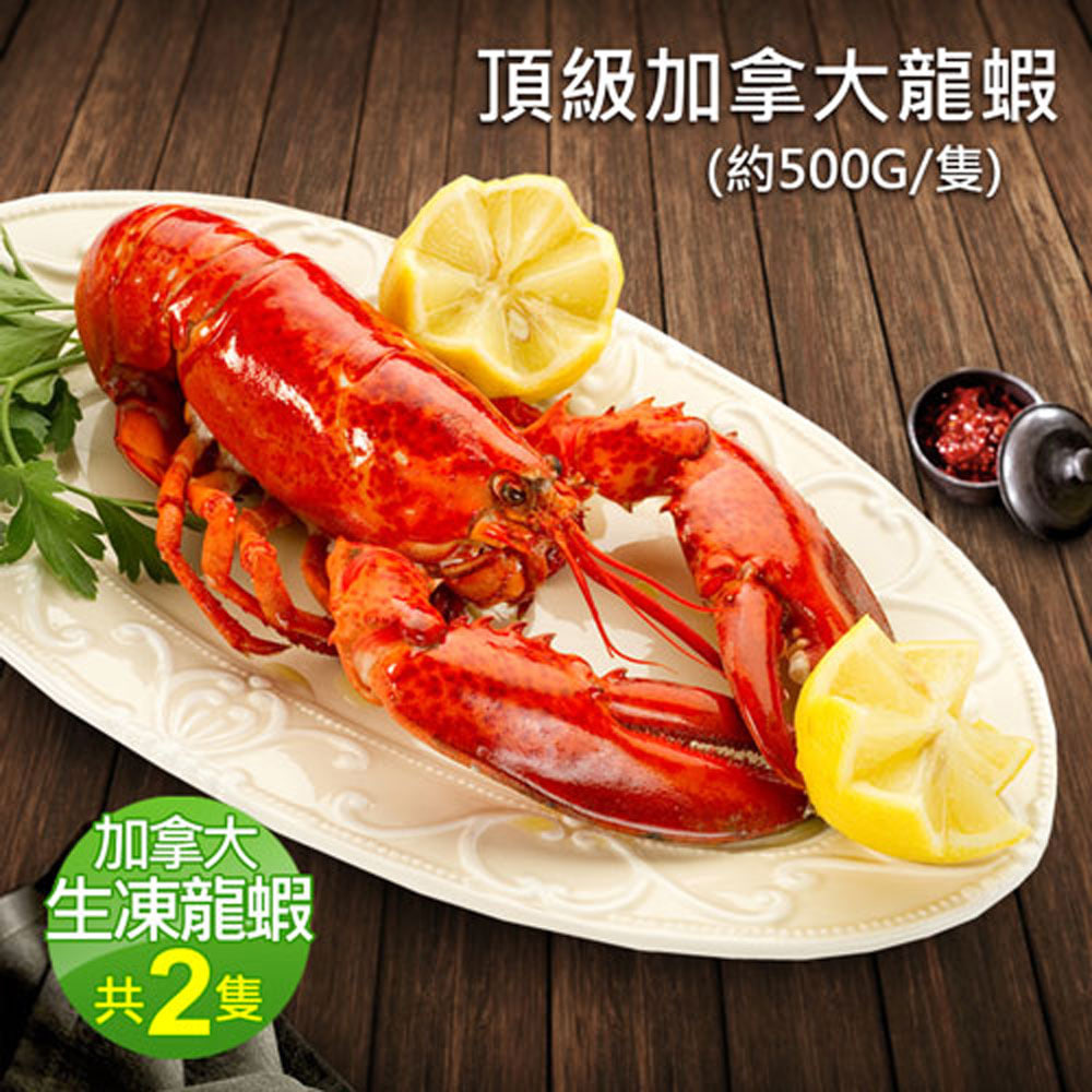 XL波士頓龍蝦2隻(約500g/隻)