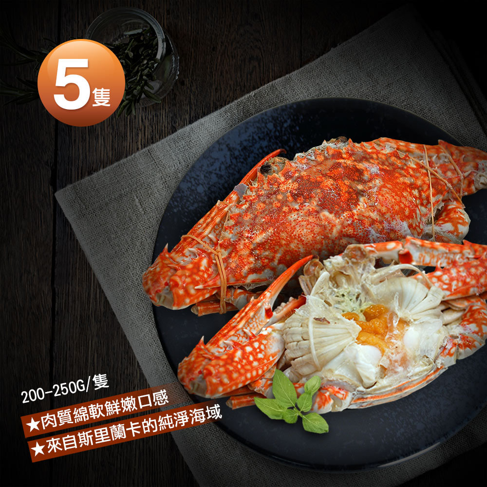 斯里蘭卡生凍母花蟹5隻(200-250g/隻)