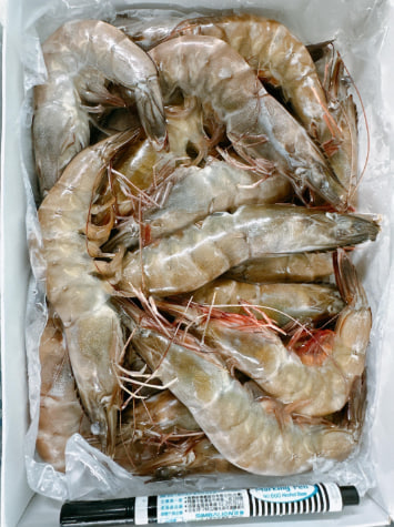 純海水大白蝦