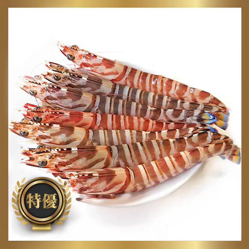 【活凍等級】正澎湖鮮甜野生活凍大明蝦