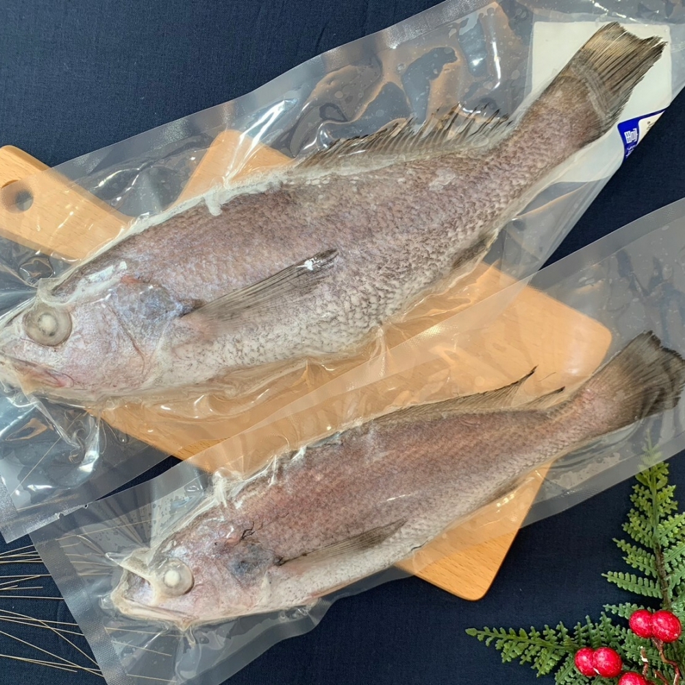 澎湖野生黑喉220-320g/隻(黑加網)/澎湖海鮮宅配