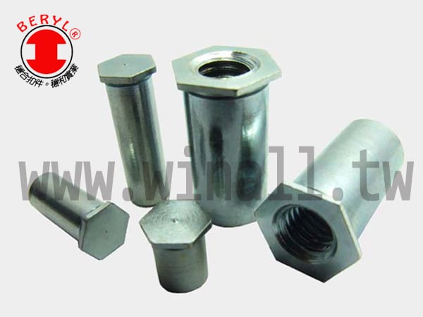 TSC 1 壓鑄螺母-白鐵